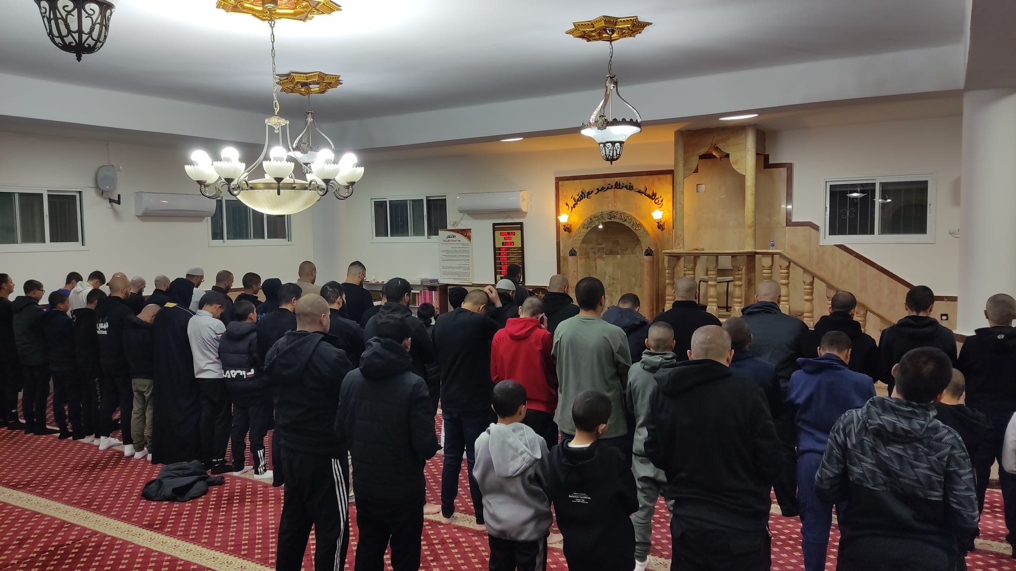 WhatsApp Image 2023-04-01 at 7.47.09 AM.jpeg